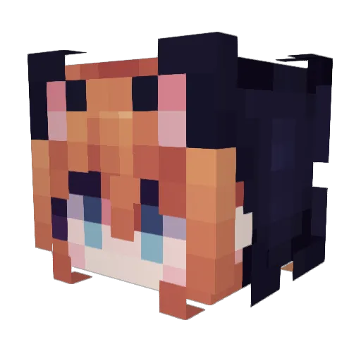 Akaar1 Minecraft avatar head, 3D render