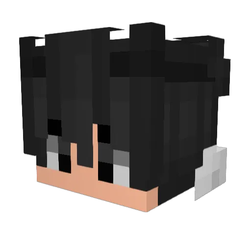 Akaatsu Minecraft avatar head, 3D render