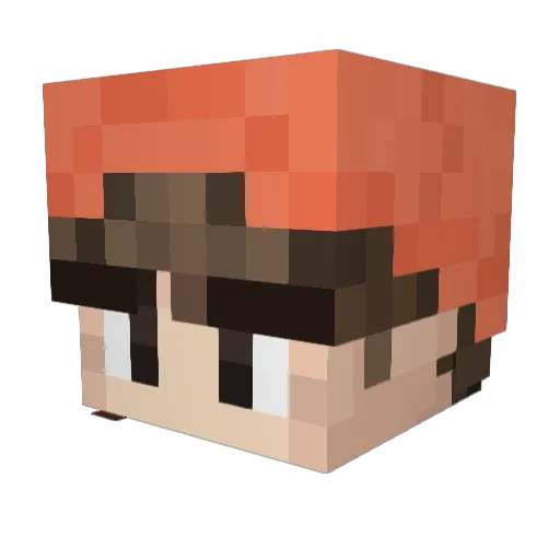 Akadak Minecraft avatar head, 3D render