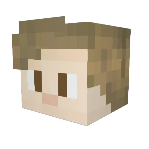 Akademiker Minecraft avatar head, 3D render