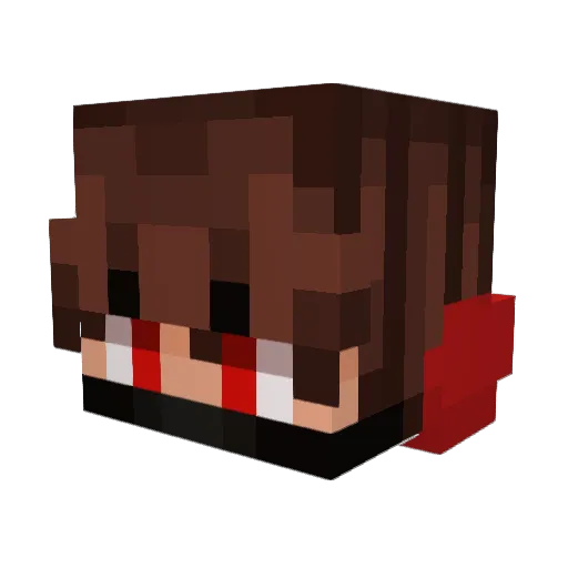 Akai_19 Minecraft avatar head, 3D render