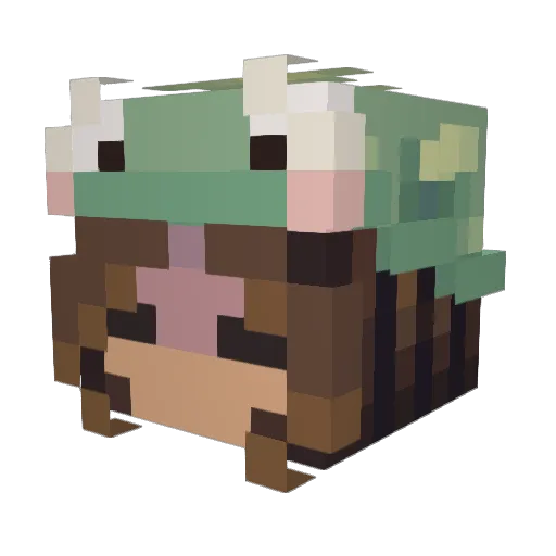 Akail1761011 Minecraft avatar head, 3D render