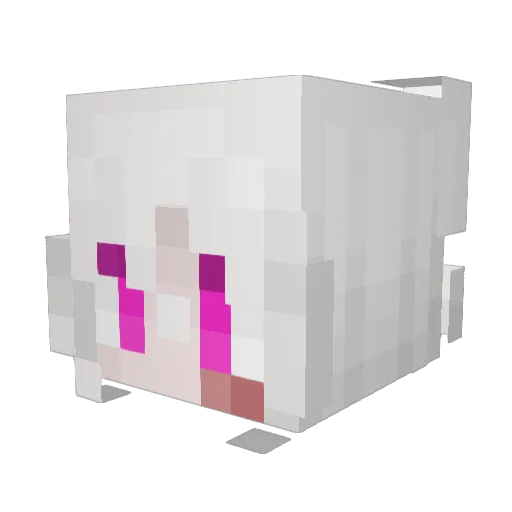 Akaireap Minecraft avatar head, 3D render