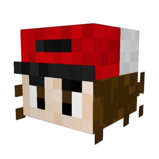Akamaru99 Minecraft avatar head, 3D render