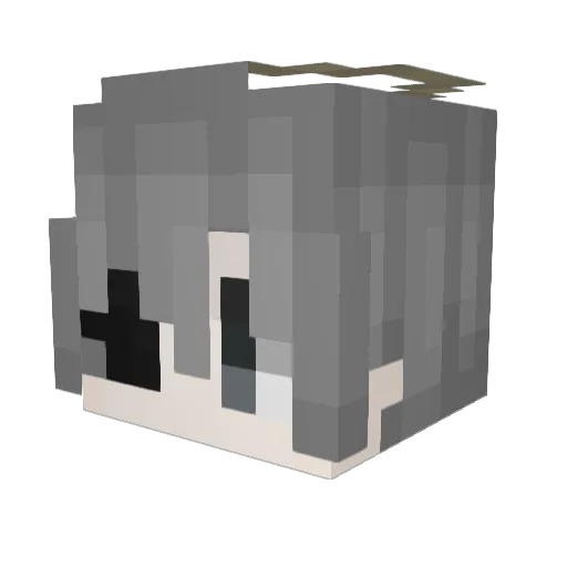Akamor Minecraft avatar head, 3D render