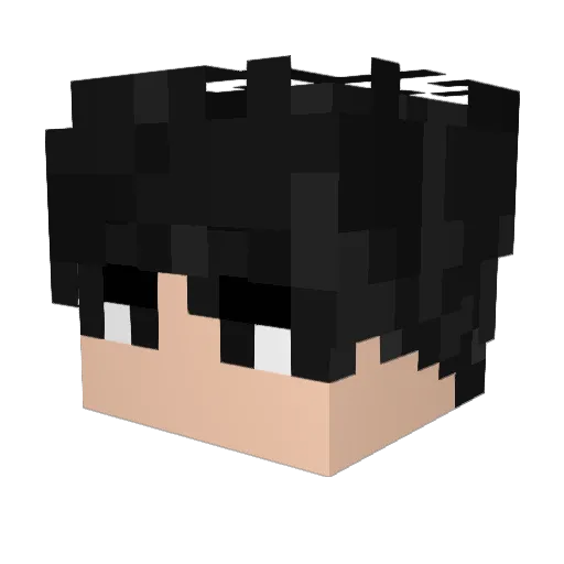 Akamu08 Minecraft avatar head, 3D render