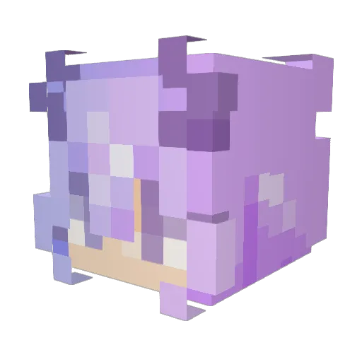 Akamy047 Minecraft avatar head, 3D render