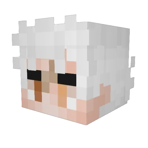 Akan0770 Minecraft avatar head, 3D render