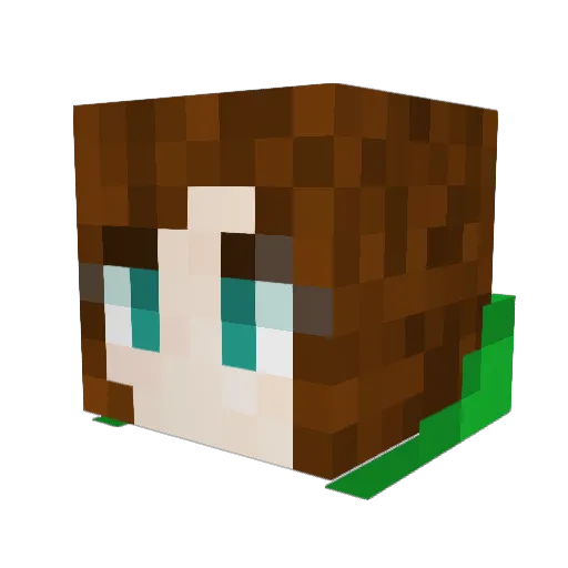 AkanaStarr Minecraft avatar head, 3D render