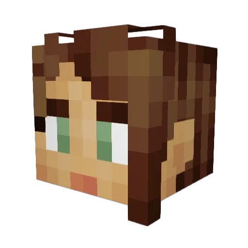 Akanee1 Minecraft avatar head, 3D render