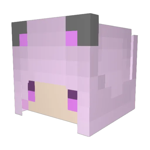Akaneeee Minecraft avatar head, 3D render