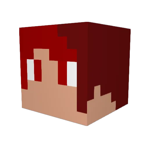 Akano531 Minecraft avatar head, 3D render