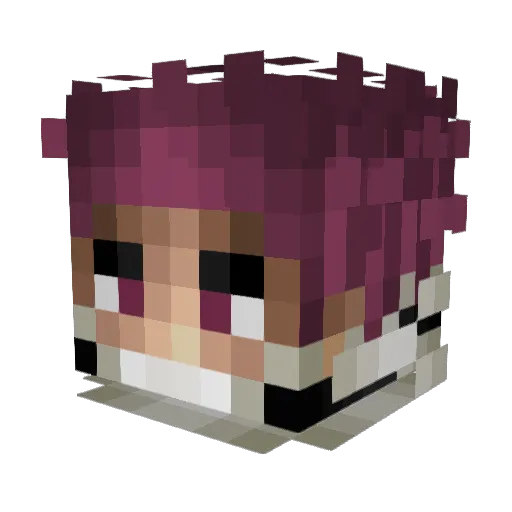 Akantoah Minecraft avatar head, 3D render