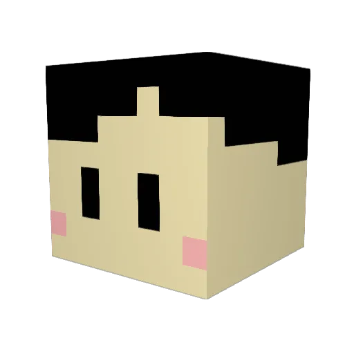 Akari0707 Minecraft avatar head, 3D render