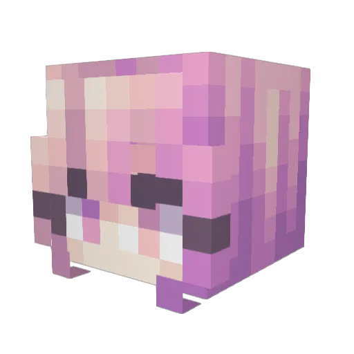 Akari_Cat Minecraft avatar head, 3D render