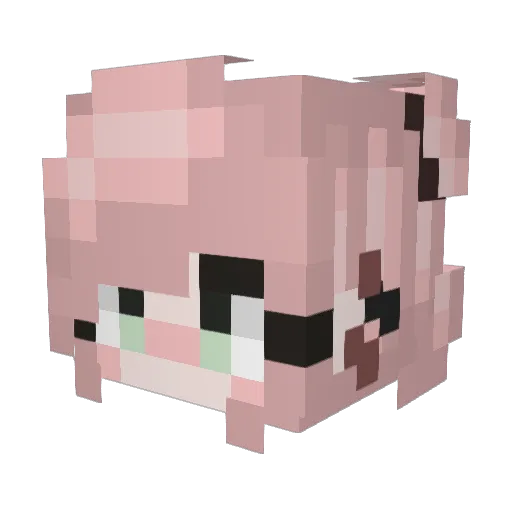 Akari_Sana Minecraft avatar head, 3D render