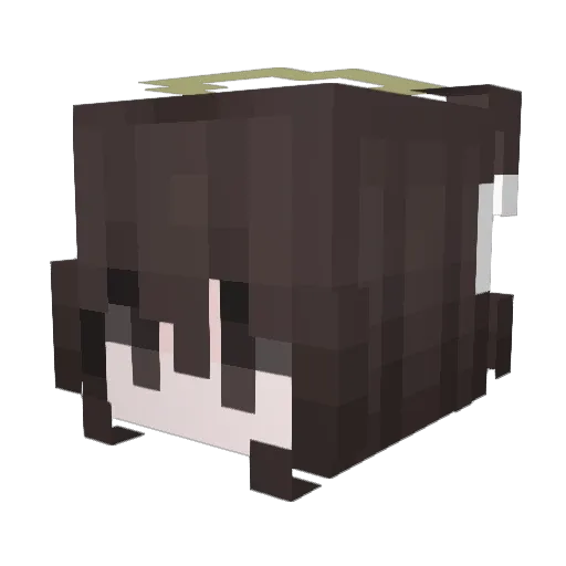 Akariaxo Minecraft avatar head, 3D render