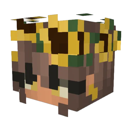 Akariuka Minecraft avatar head, 3D render