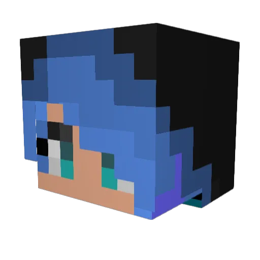 Akashavampire10 Minecraft avatar head, 3D render