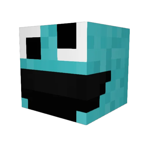 Akashd98 Minecraft avatar head, 3D render