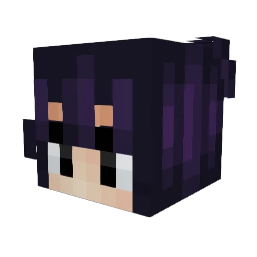 Akashi1101 Minecraft avatar head, 3D render
