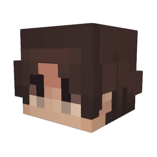 Akashi2512 Minecraft avatar head, 3D render