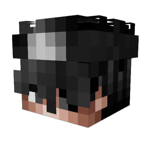 Akashiv2 Minecraft avatar head, 3D render