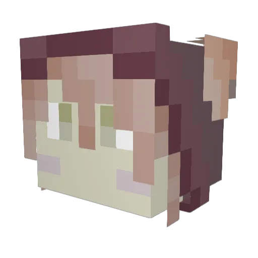 AkassoXD Minecraft avatar head, 3D render
