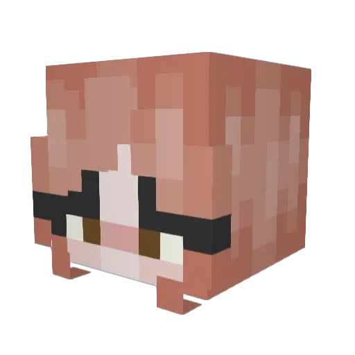 AkatamaButa Minecraft avatar head, 3D render