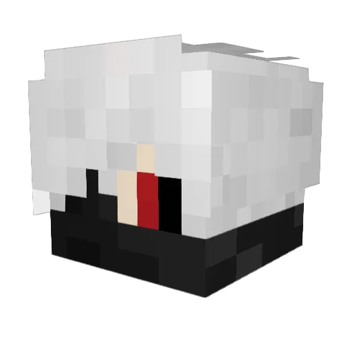 AkayRen Minecraft avatar head, 3D render
