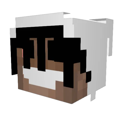 Akay_tmt Minecraft avatar head, 3D render