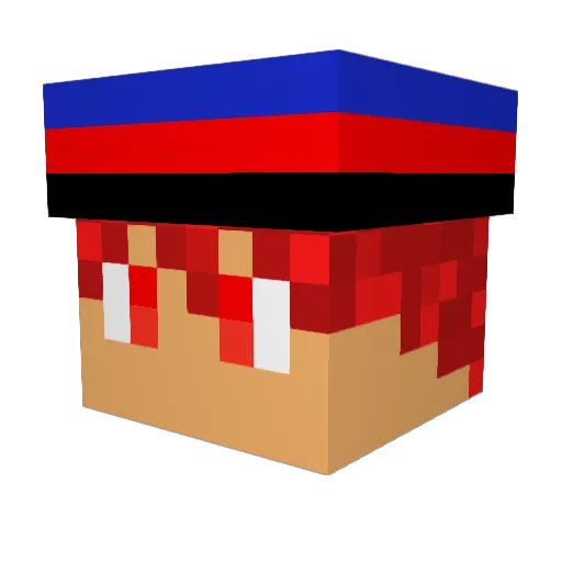Akazuki11 Minecraft avatar head, 3D render