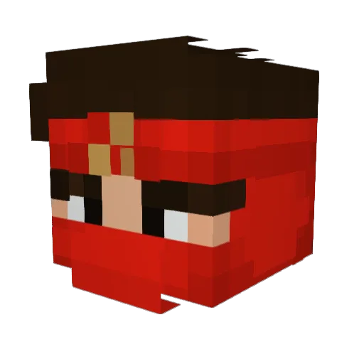 Akdninja Minecraft avatar head, 3D render
