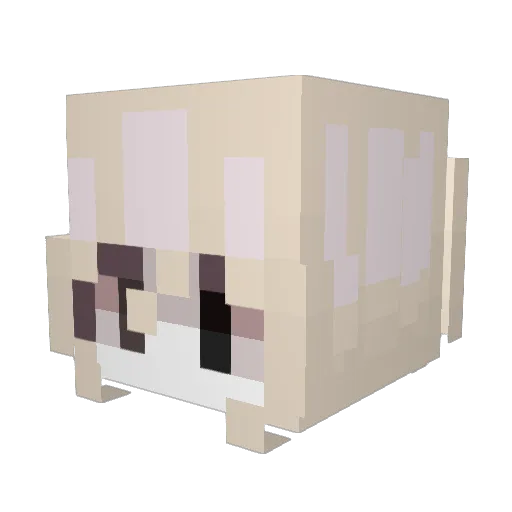 Akdogan Minecraft avatar head, 3D render