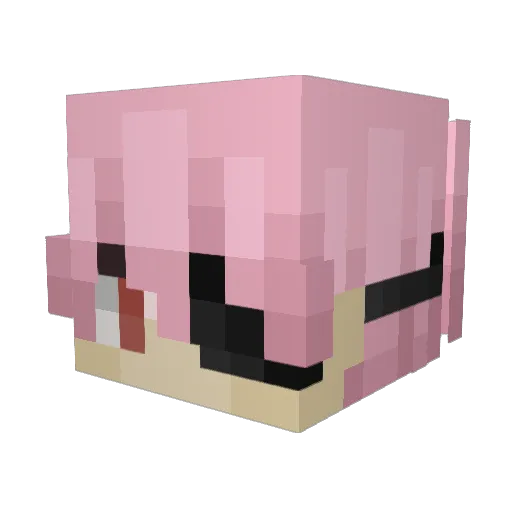 Akef Minecraft avatar head, 3D render