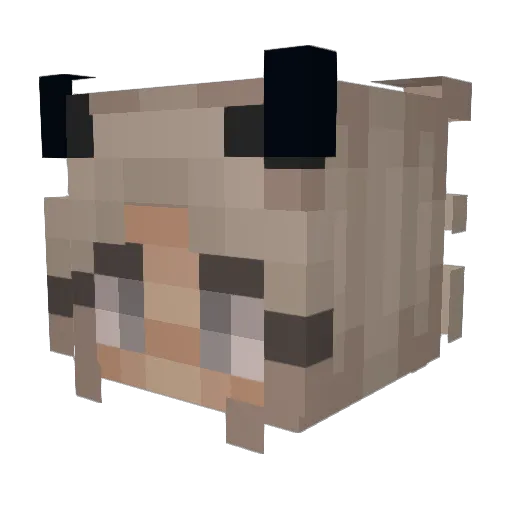Akeliaz Minecraft avatar head, 3D render