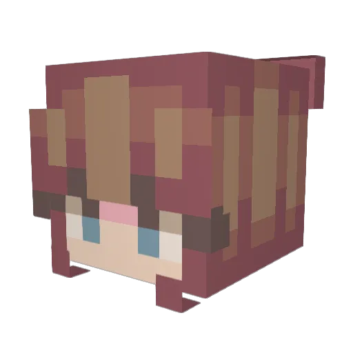 Akellik2 Minecraft avatar head, 3D render