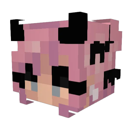 Akeno18 Minecraft avatar head, 3D render