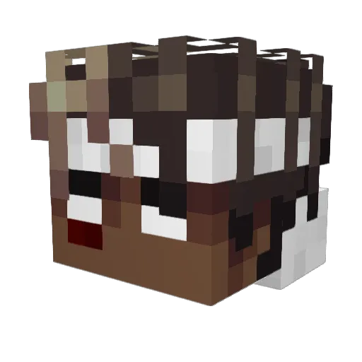 AkenoSama Minecraft avatar head, 3D render