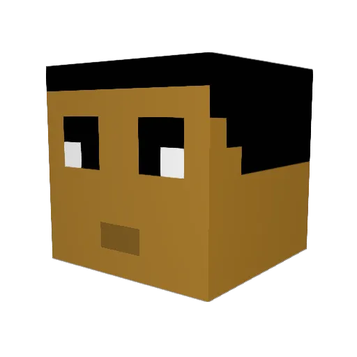 Akenoxoxo Minecraft avatar head, 3D render