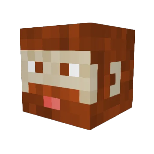Akentoch Minecraft avatar head, 3D render