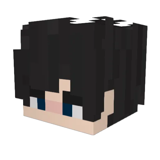Aker208 Minecraft avatar head, 3D render