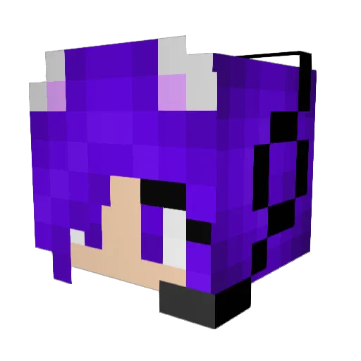 Akeri Minecraft avatar head, 3D render