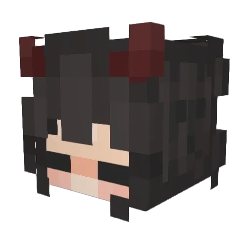 Aki17 Minecraft avatar head, 3D render