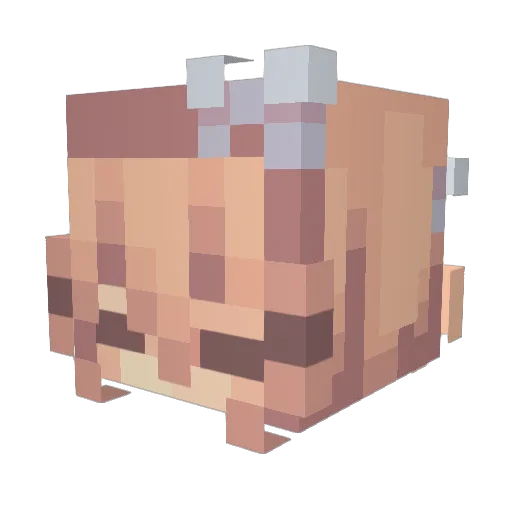 Aki1913 Minecraft avatar head, 3D render