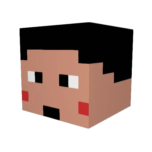 Aki61 Minecraft avatar head, 3D render