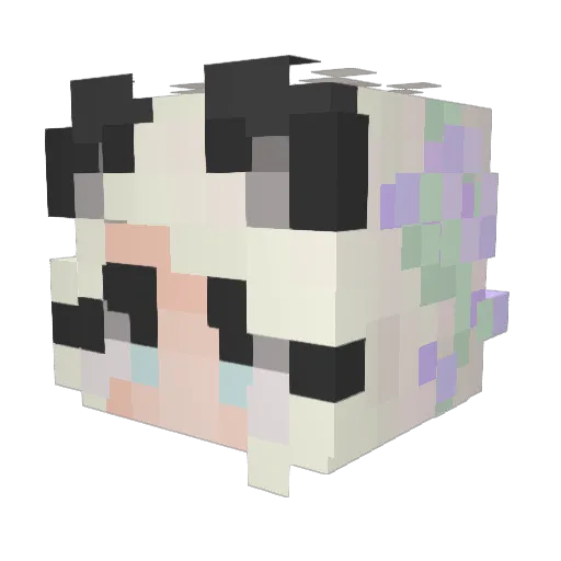 AkiChoi14 Minecraft avatar head, 3D render