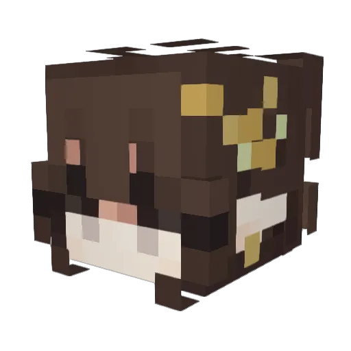 AkiKoibito Minecraft avatar head, 3D render