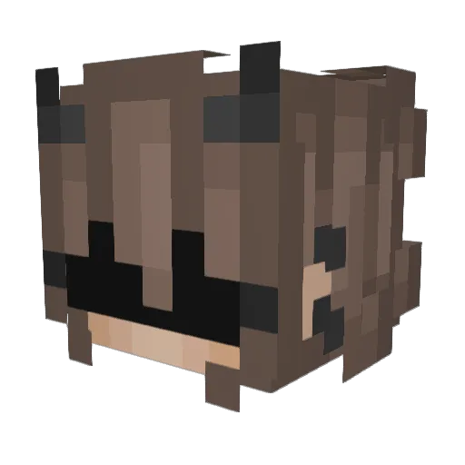 AkiMeraki Minecraft avatar head, 3D render