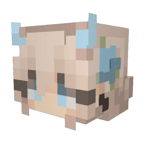 AkiRojas Minecraft avatar head, 3D render